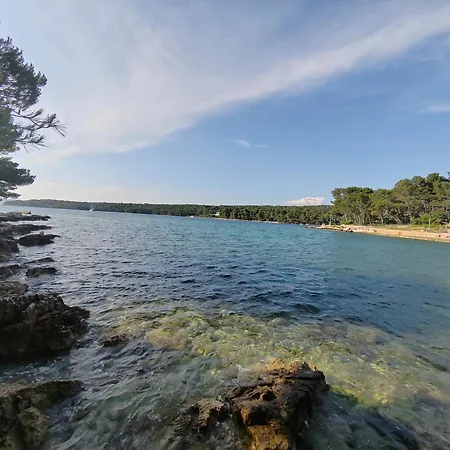 Dom wakacyjny Holiday Spyro Stari Grad (Hvar)